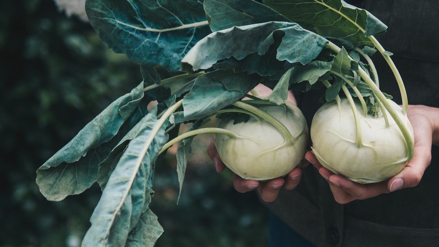 Rezeptbild für Gefüllter Kohlrabi aus dem Ofen