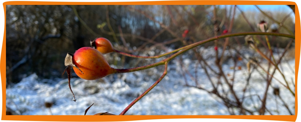 Kundenbrief als PDF öffnen