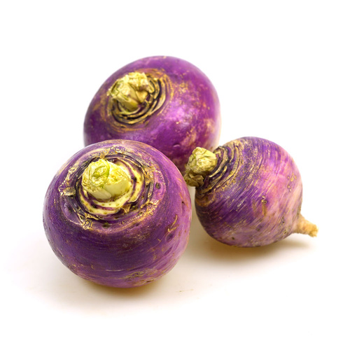 Herbstrübchen