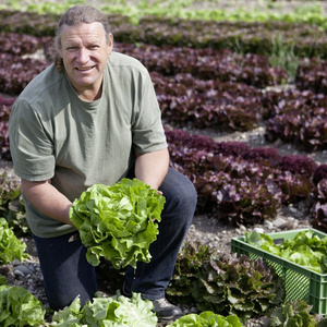 Helmut Kinzelmann baut Salate auf den Amperhof Feldern an.