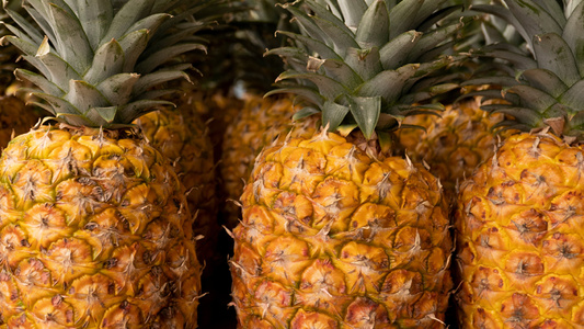 Ananas