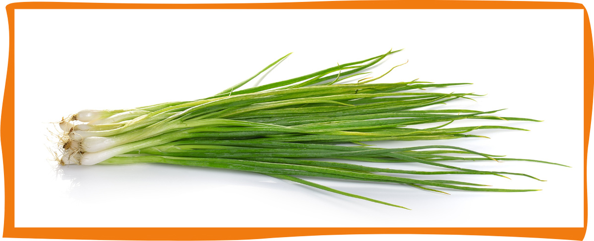 KI generiert: Ein Haufen frischer Frühlingszwiebeln liegt auf weißem Hintergrund.