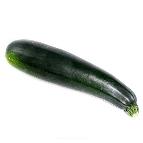 Produktfoto zu Große Zucchini ca. 1 kg Stück