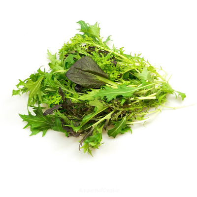 Produktfoto zu Salatmix Asia ca. 125g (Golden Frills,Moutard rouge metis, Mizuna purple)