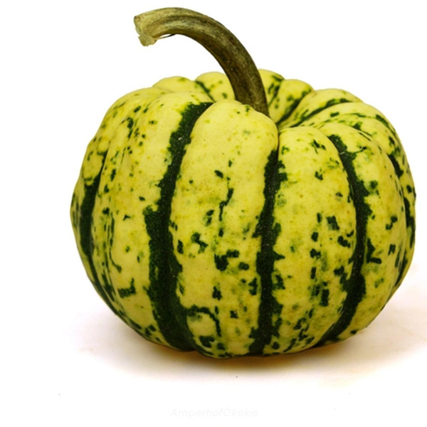 product photo for Kürbis Sweet Dumpling