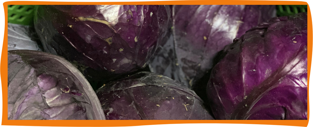 KI generiert: Mehrere Köpfe von Rotkohl in Nahaufnahme, ohne Text.