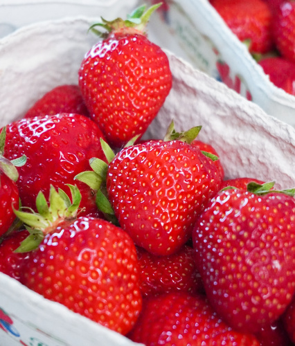 Frische leckere Erdbeeren