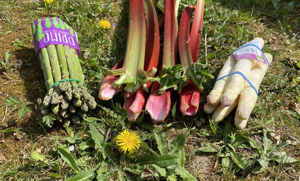 Haferdrink selbst machen