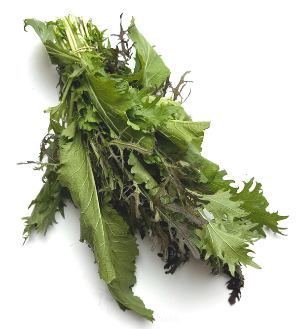 Produktfoto zu AsiaMix Bund