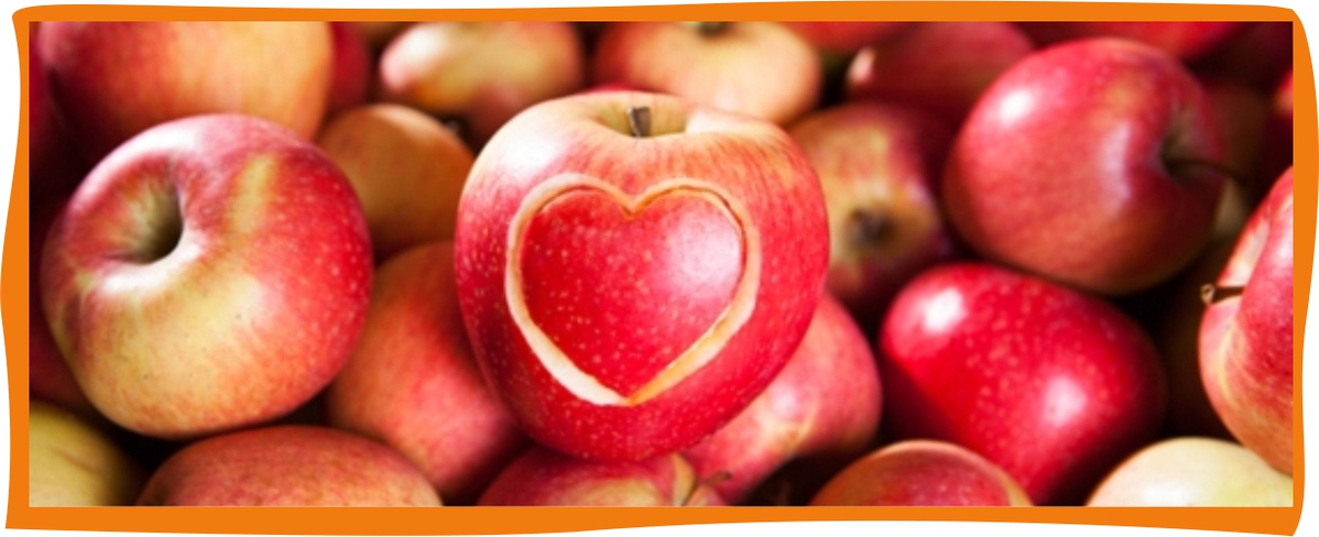 Kundenbrief als PDF öffnen