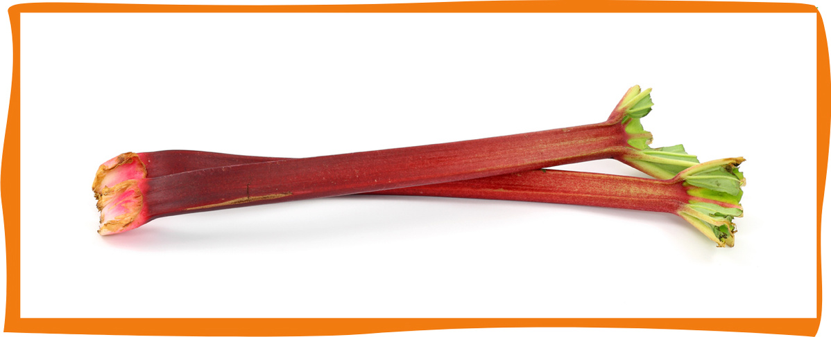 KI generiert: Zwei Rhabarberstangen auf weißem Hintergrund mit orangefarbenem Rahmen.