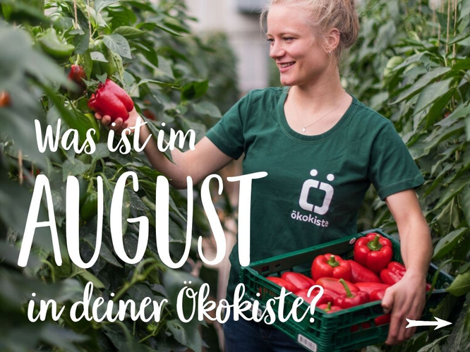 Saisonkalender August