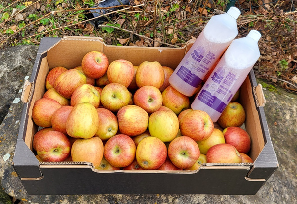 Osiris Apfelessig-Reiniger und die Apfelkiste mit Braeburn
