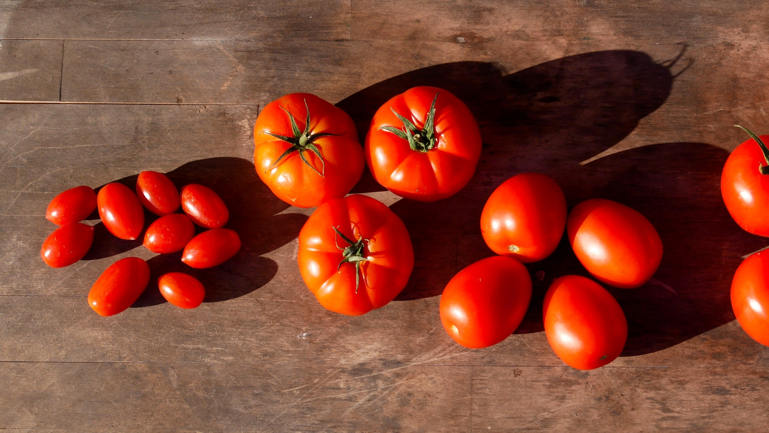 Tomaten