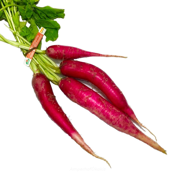 Produktfoto zu Rettich rot Bund
