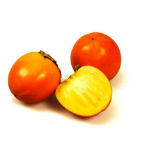 Sharon, Kaki