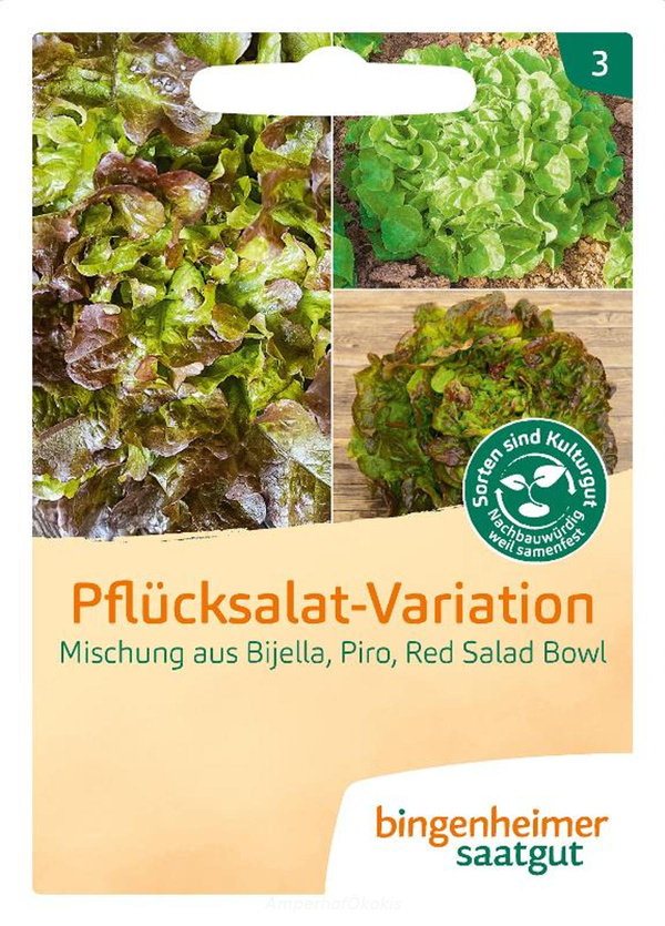 Produktfoto zu Saat: Pflücksalat Mischung