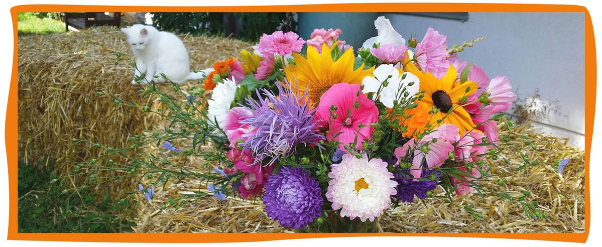 Kundenbrief als PDF öffnen