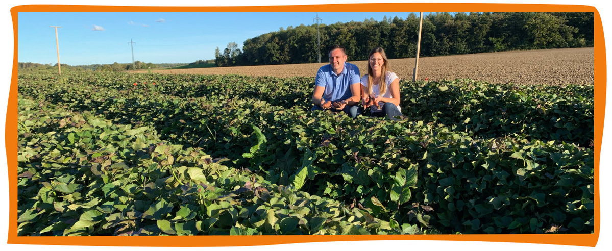 Süßkartoffeln von Ferdinand Wenig