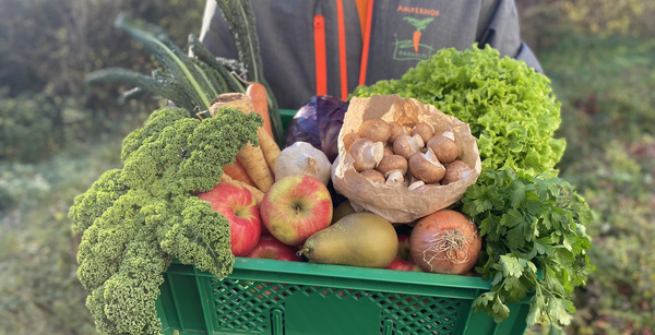 5 Lieferungen = 25 Euro geschenkt