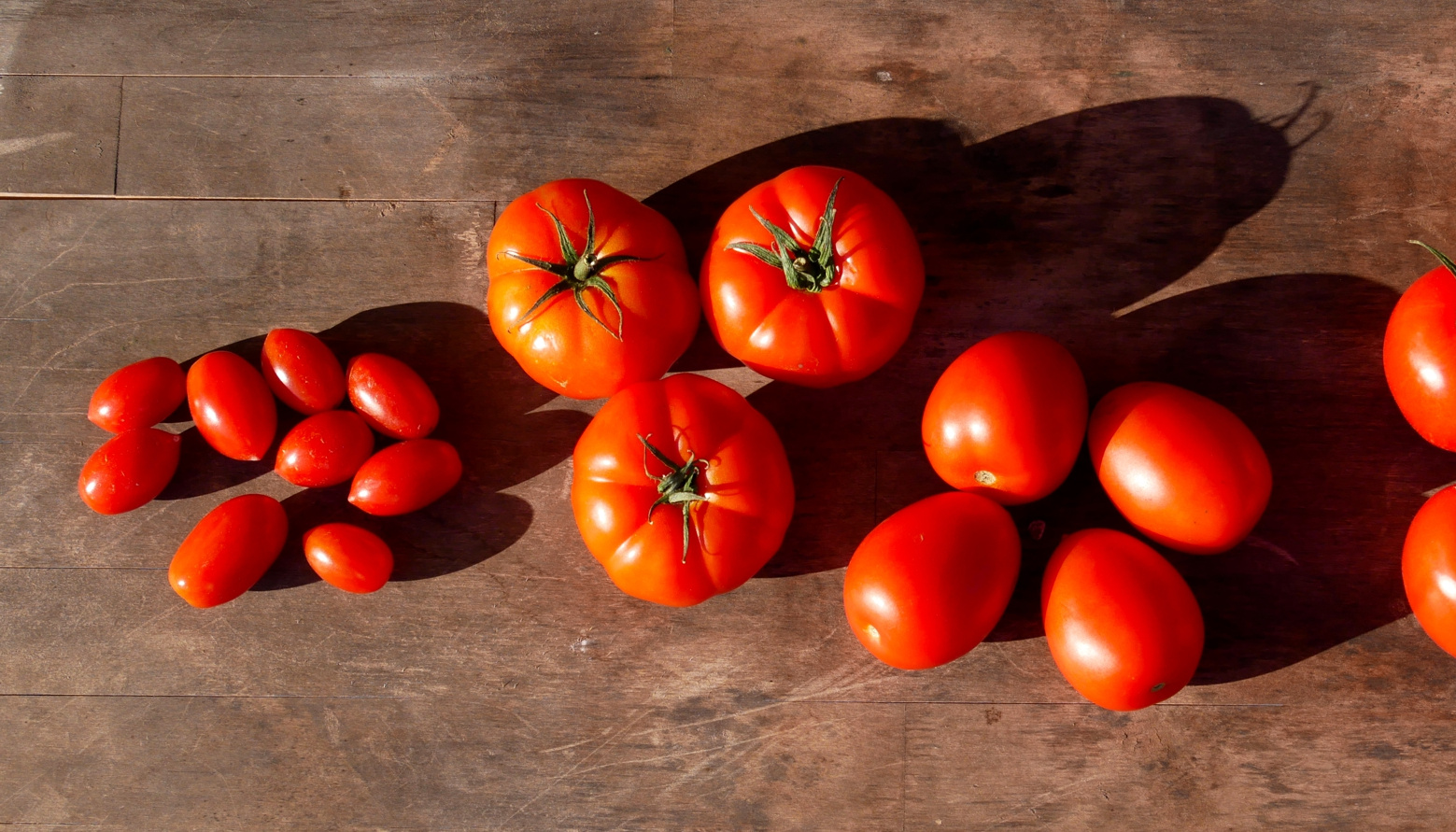 Tomatenvielfalt