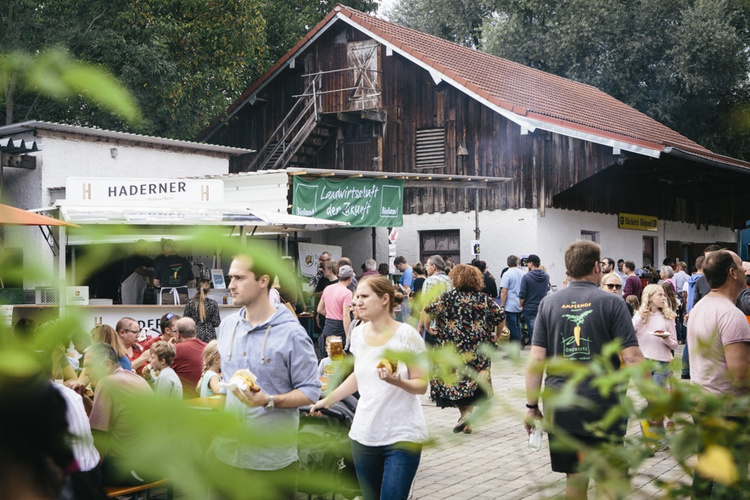 Hoffest-Rücken-von-Michl