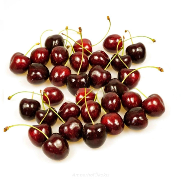 Produktfoto zu Sauerkirschen 500g