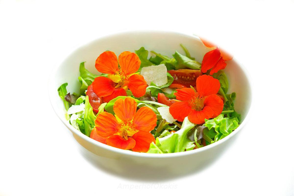 Produktfoto zu Salatkräutermischung imTütle ca. 80-100g