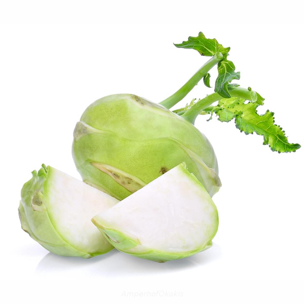Produktfoto zu Superschmelz Kohlrabi 1,2-1,5kg