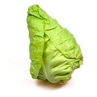 Spitzkraut