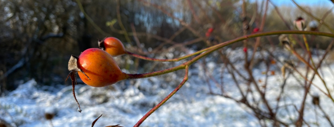 Kundenbrief KW 02/24