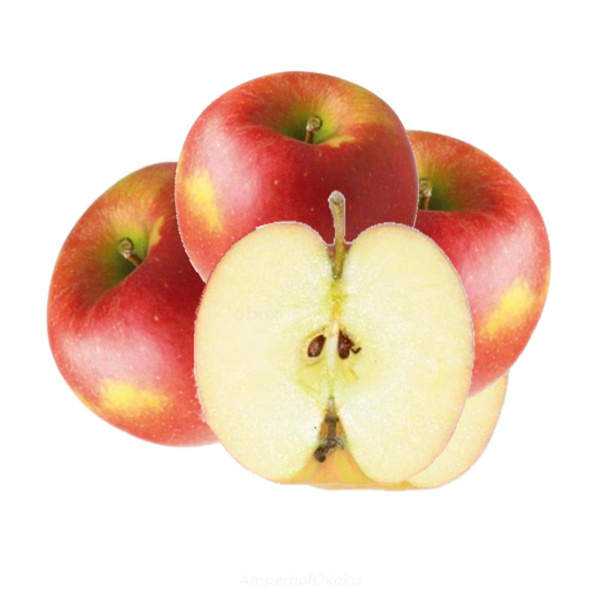 Produktfoto zu Äpfel Jonagold 5 kg