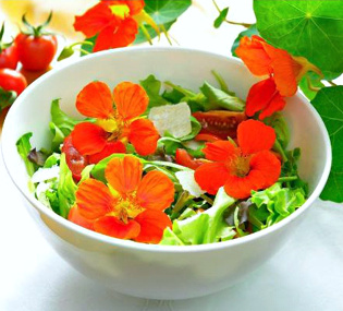 Salatkräutermischungen