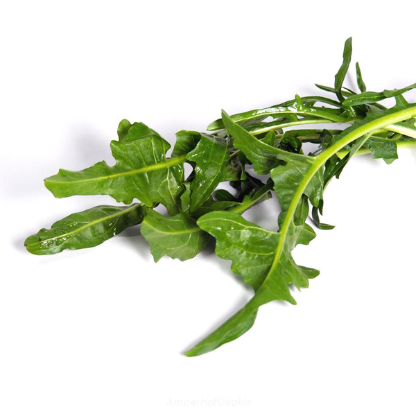 Produktfoto zu Löwenzahnsalat ca.300g