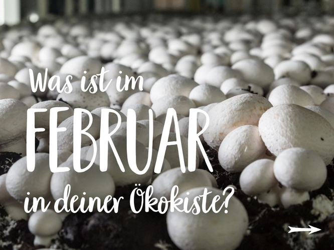 Saisonkalender-Februar-Teaser