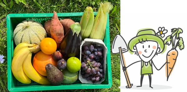 Obstkiste mit Gärtner-Cartoon