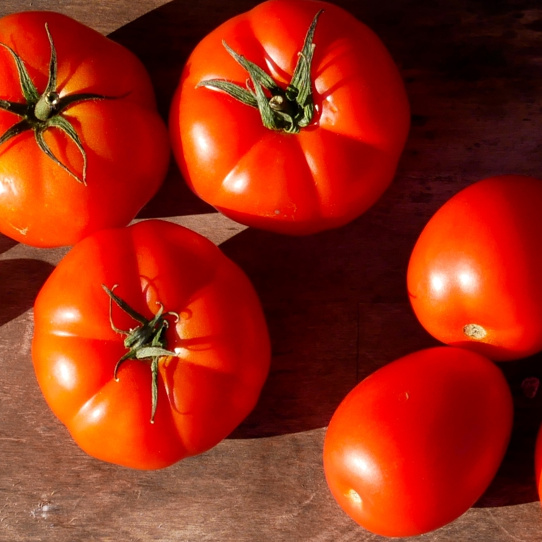 KI generiert: Frische rote Tomaten auf einer Holzoberfläche.