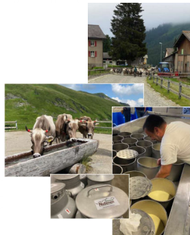 Käsereise nach Nufenen