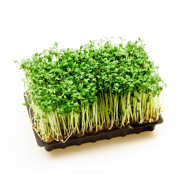 product photo for Kresse samenfest