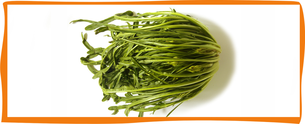 KI generiert: Bündel frisches Gemüse (Barba di Frate) auf weißem Hintergrund mit orangefarbenem Rand.