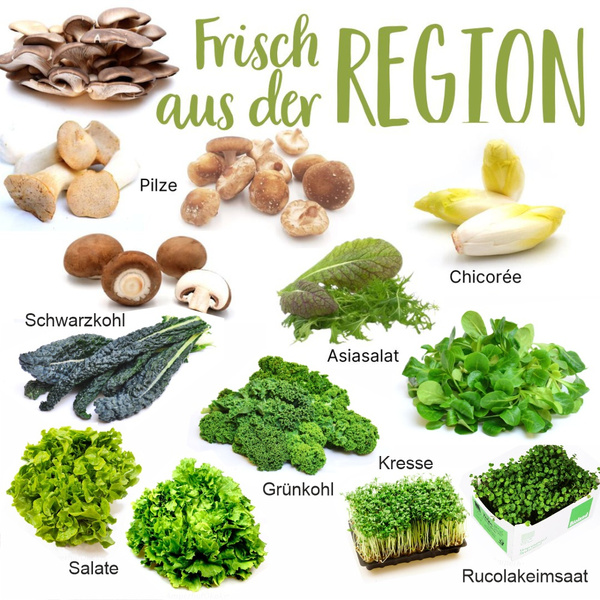 Saisonkalender Februar Region