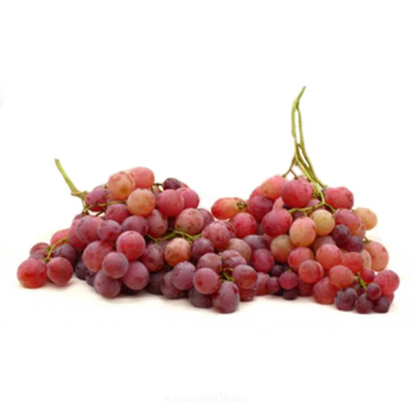 Produktfoto zu Kernlose blaue, rosé Trauben ca. 500g