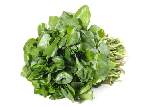 KI generiert: Ein Bündel frischer Brunnenkresse auf weißem Hintergrund.