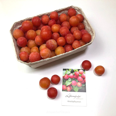 Produktfoto zu Kirschpflaumen ca.400g