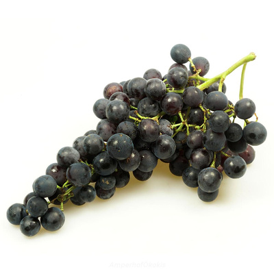 Produktfoto zu Trauben blau kernarm 500g