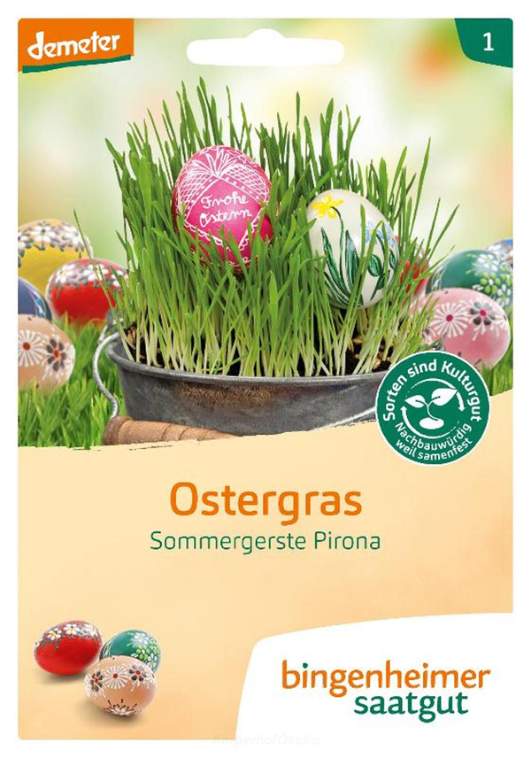 Produktfoto zu Saat: Ostergras