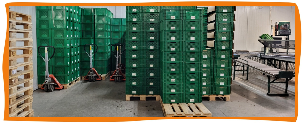 Kundenbrief als PDF öffnen