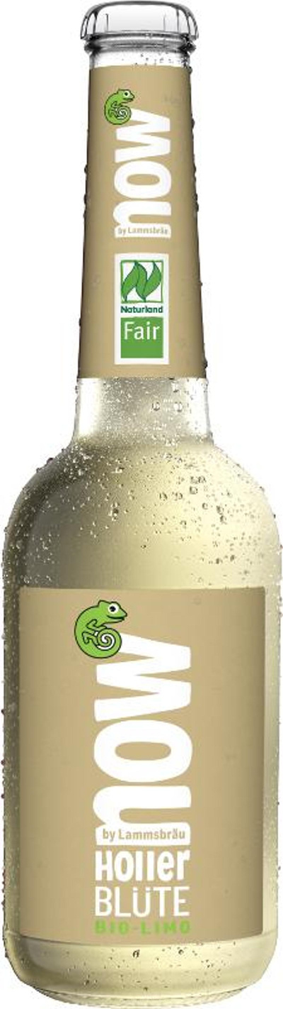 Produktfoto zu now Holler Blüte 0,33 l