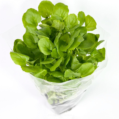 Produktfoto zu Barbarakresse im Topf