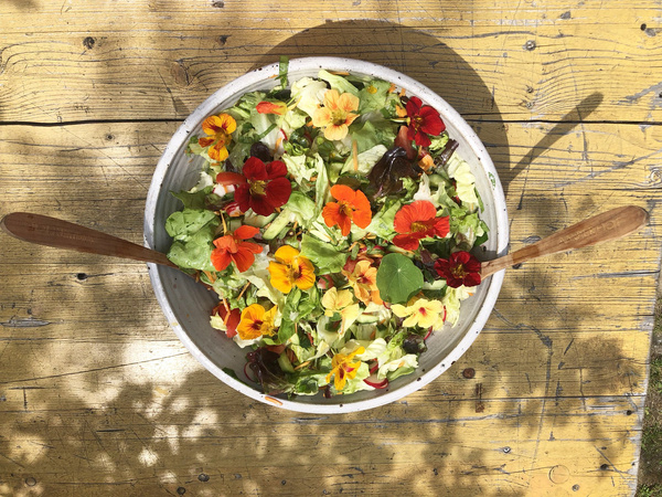 KI generiert: Ein Salat mit essbaren Blüten in einer Schale auf einem Holztisch.